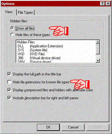 NT Explorer Options panel
