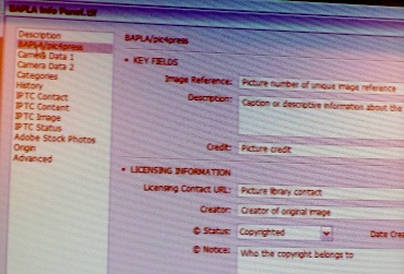The BAPLA info panel