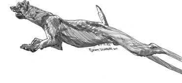 Pressweiler; &copy; Matt Salusbury