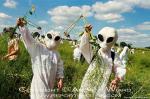 Alien Crops © Andrew Wiard