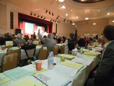 Delegate Meeting vote in progress