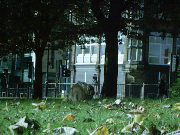 John McDonnell; © Mike Holderness