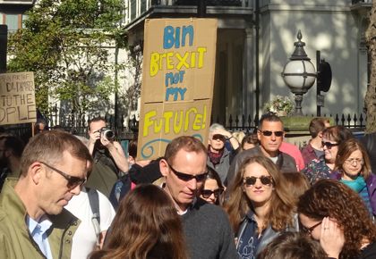 Bin Brexit banner