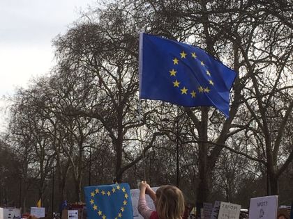 ; Young person with EU flag at March 2019 pro-Europe march in London;Photo:Matt Salusbury