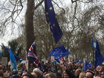 pro-EU rally in London; Photo: Matt Salusbury