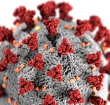 Visualisation of a covid-19 virus