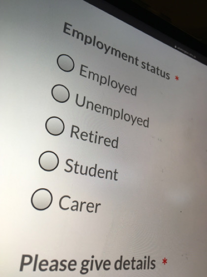 Part of an online form asking for employment status