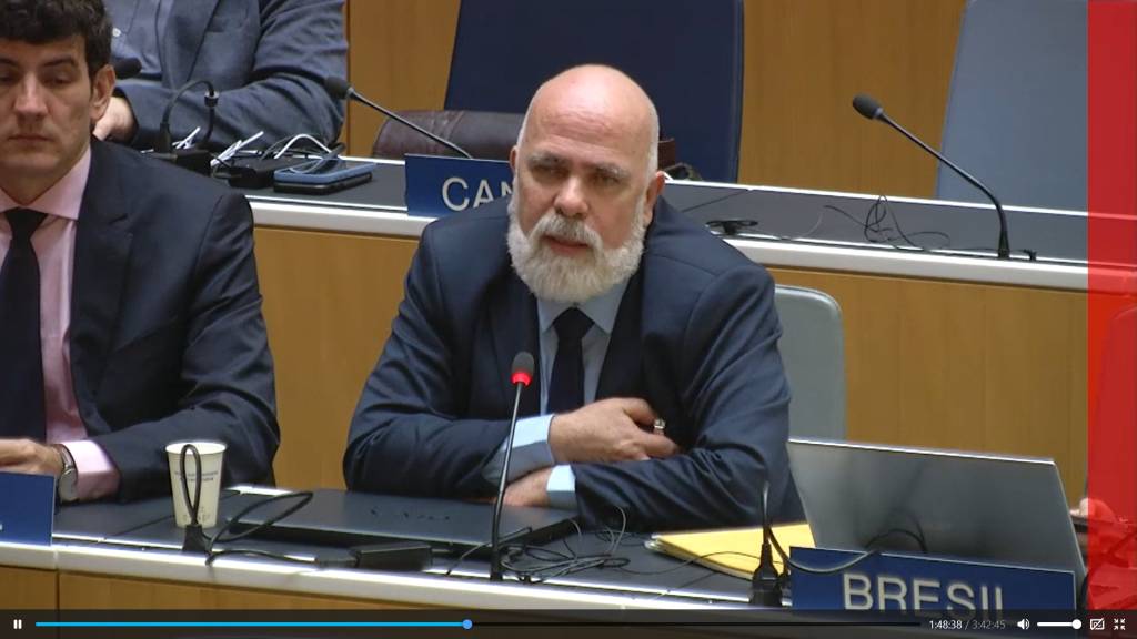 Brazil representative